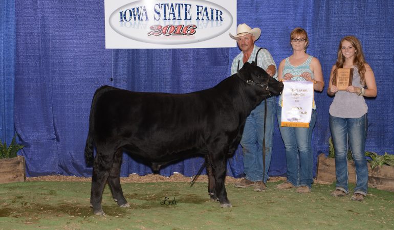 2016 Iowa State Fair Overall Reserve Grand Champion Purebred Bull – J & C Simmentals