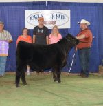 2016 Iowa State Fair Bull Calf Champion- Foundation Show – Felt Farms