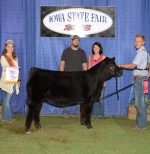 2016 Iowa State Fair Reserve Division Winner-Winter Heifer Calf – Purebred – Naber Farms